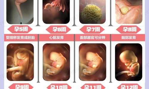 直肠指检自己能做吗-直肠指检效果网 - 为你提供直肠指检摸到肿瘤什么感觉、直肠指检对身体有害吗