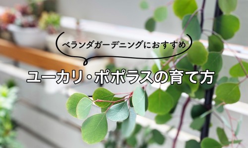 直肠指检自己能做吗-直肠指检效果网 - 为你提供直肠指检摸到肿瘤什么感觉、直肠指检对身体有害吗